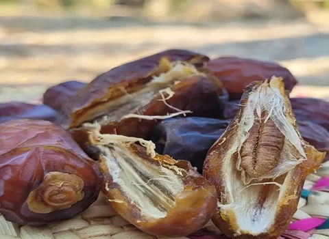 قیمت خرما رطب پیارم + پخش تولیدی عمده کارخانه