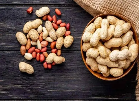 بادام زمینی کشاورزی؛ خام بوداده شور تقویت بدن عضله سازی ورزشکاران