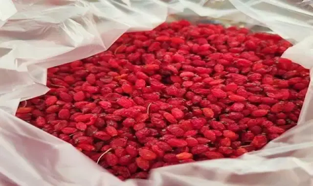 بهترین زرشک پفکی کیلویی + قیمت خرید عالی