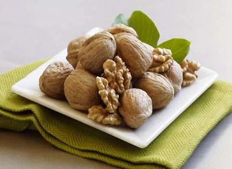 گردو کاغذی؛ 2 نژاد تویسرکان شیلی با مغز سفید رنگ