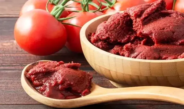 راهنمای خرید رب گوجه نیم کیلویی + قیمت عالی