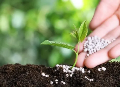 کود اوره برای صیفی جات؛ شیمیایی طبیعی حاوی اکسیژن هیدروژن نیتروژن