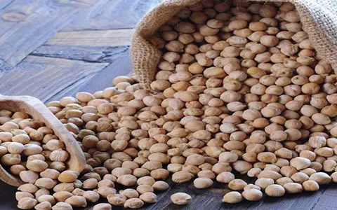 قیمت نخود فلافلی کرمانشاه + مشخصات بسته بندی عمده و ارزان