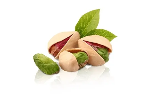 قیمت خرید پسته خنجری دامغان + عکس