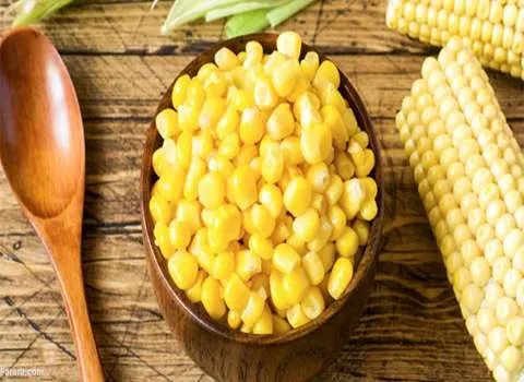 قیمت خرید کنسرو ذرت شیرین + طرز تهیه