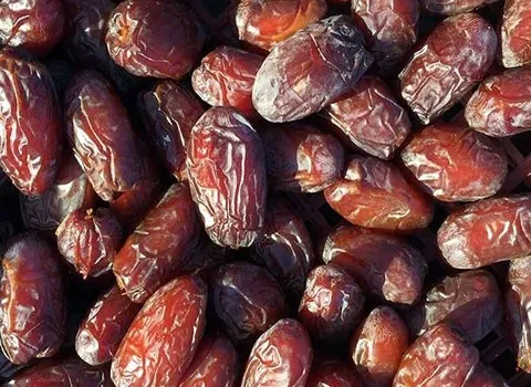 قیمت خرما خاصویی درجه یک