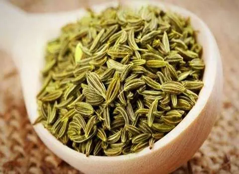 زیره سیاه امروز (ادویه) طبع گرم تلخ حاوی فیبر آهن گیاهی