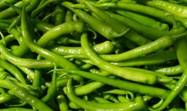 قیمت فلفل سبز شیرین