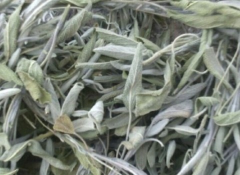 آشنایی با مریم گلی خشک + قیمت استثنایی خرید مریم گلی خشک