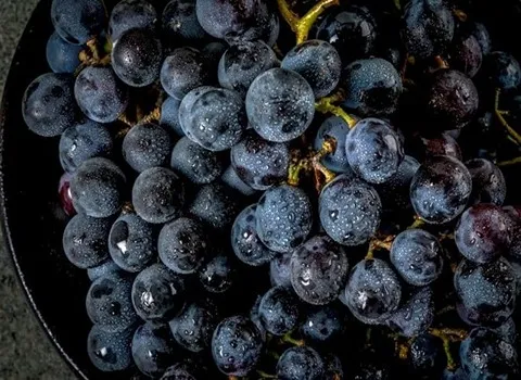 انگور سیاه مریوان + قیمت خرید، کاربرد، مصارف و خواص