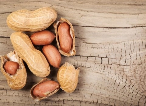 قیمت انواع بادام زمینی + خرید ارزان