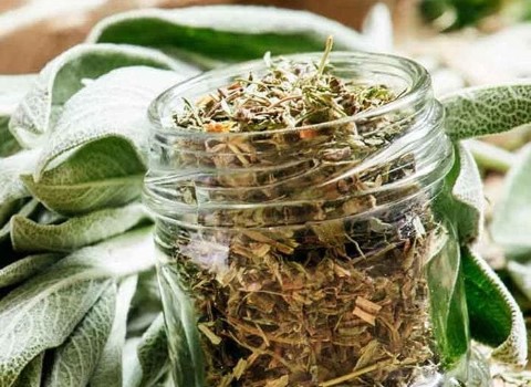 معرفی گیاه مریم گلی خشک شده + بهترین قیمت خرید