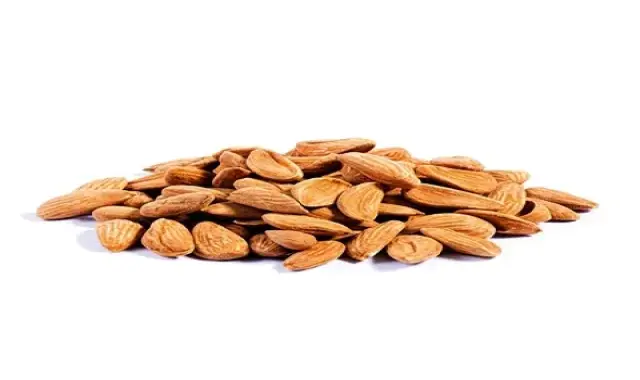 خرید انواع مغز بادام مامایی + قیمت