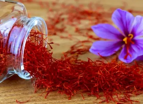 زعفران نگین سحرخیز؛ بهبود سلامت قلب حجم (3 4 5 10 گرمی)