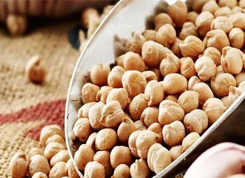 خرید انواع نخود تازه کرمانشاه + قیمت