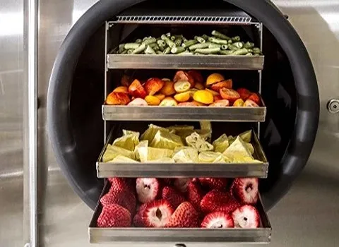 خرید دستگاه فریز درایر صنعتی با قیمت استثنایی