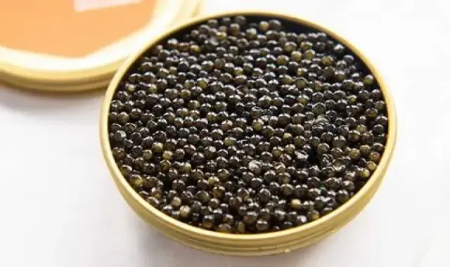 راهنمای خرید خاویار کپور با شرایط ویژه و قیمت استثنایی