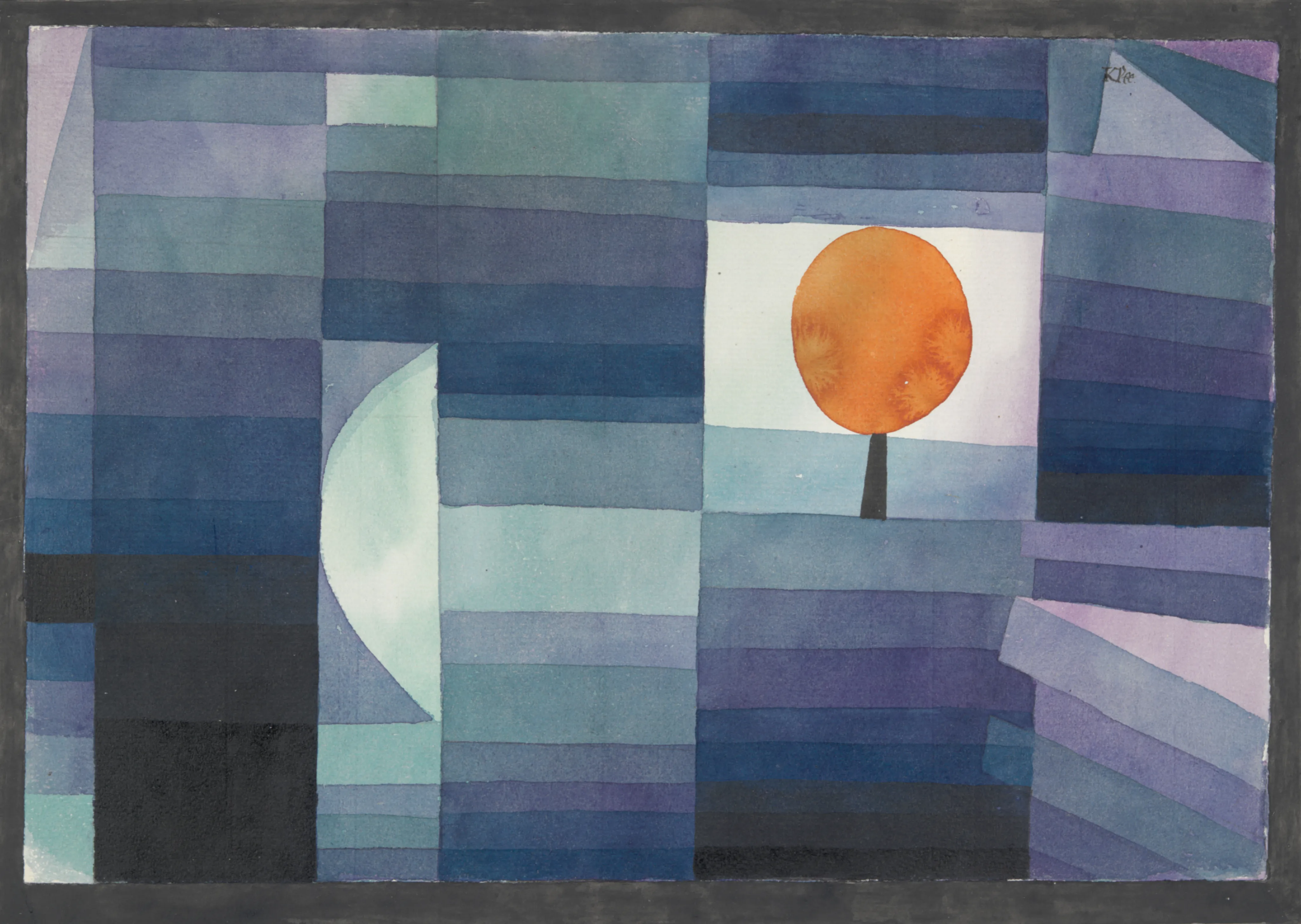 Solitary Orange Tree image 1