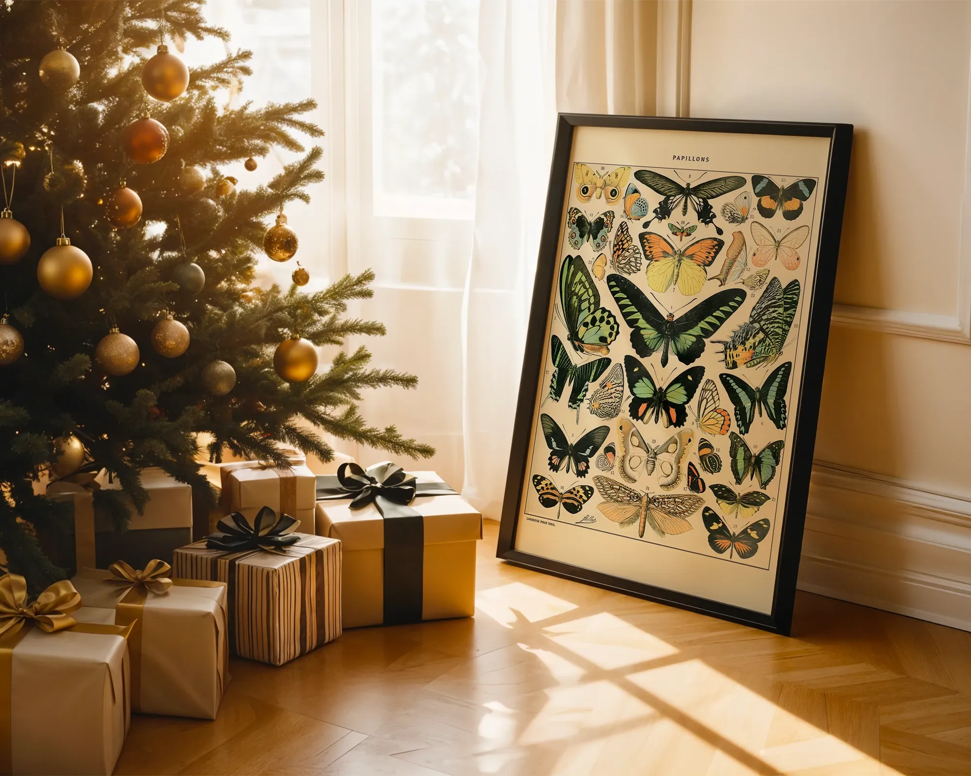 Papillons — room view 2