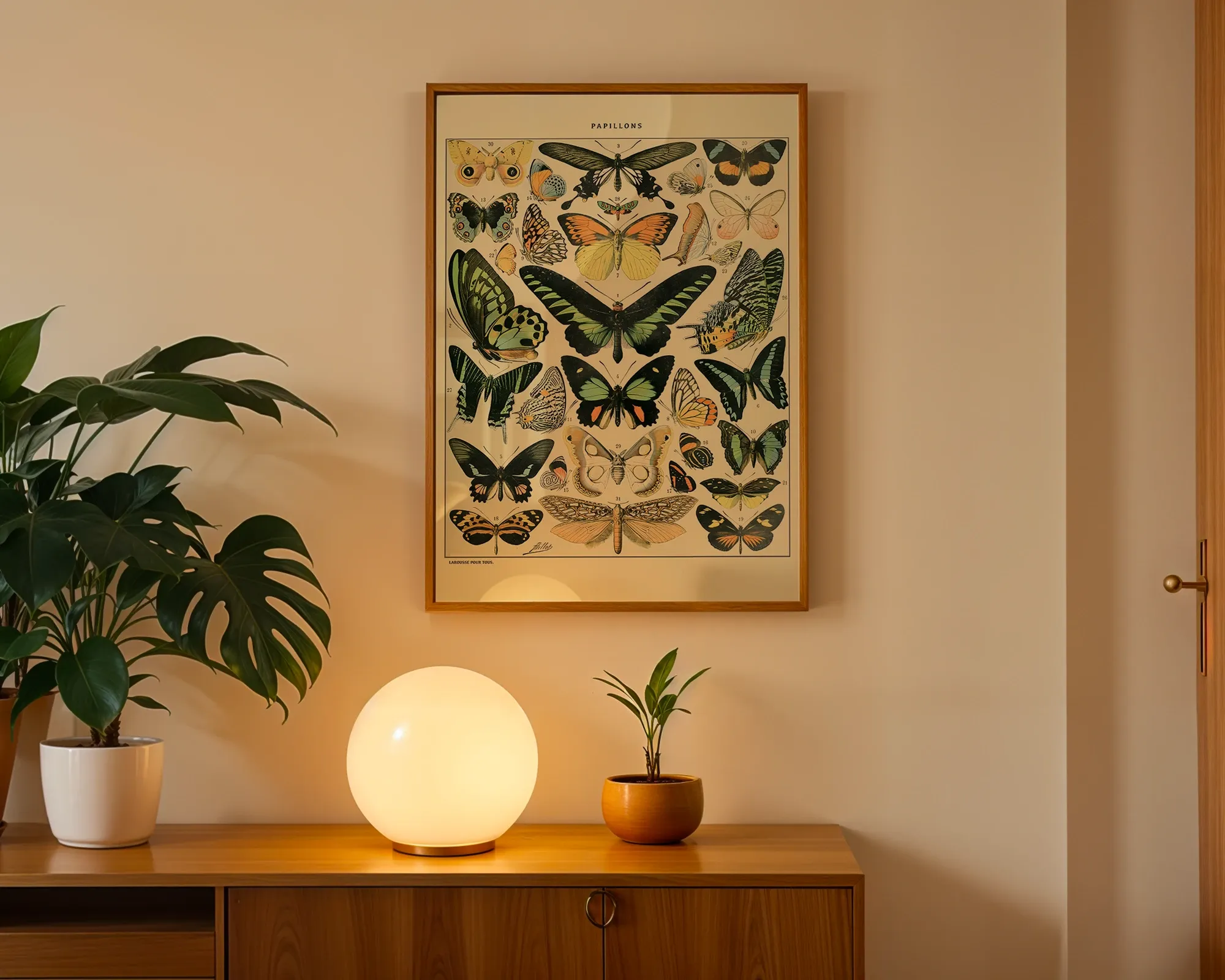 Papillons — room view 3