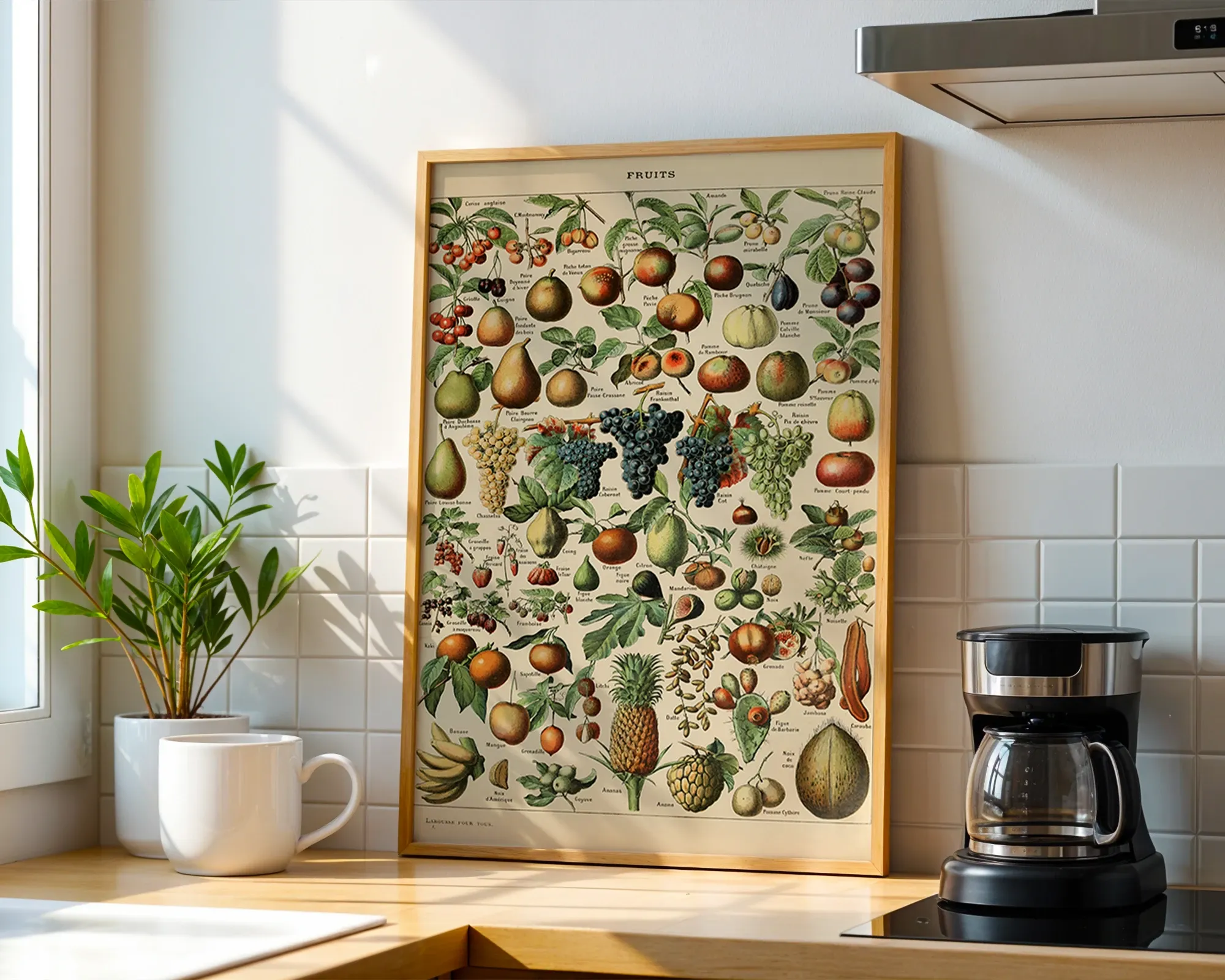 Fruits — room view 1