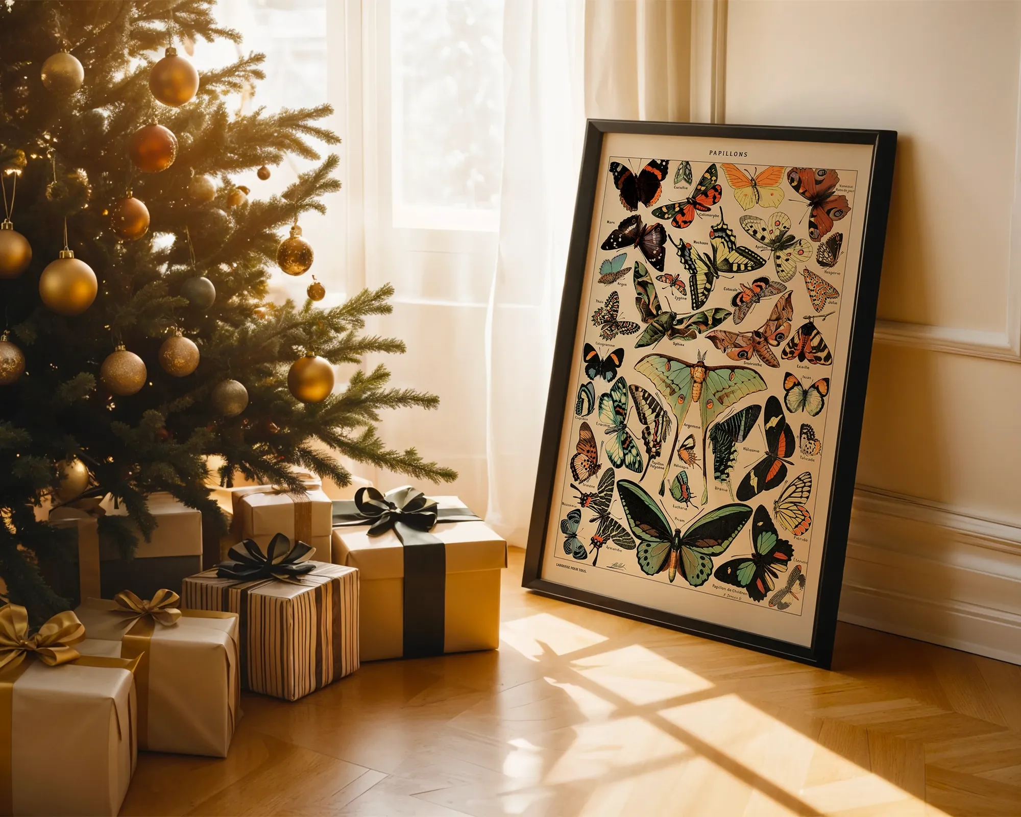 Papillons — room view 2