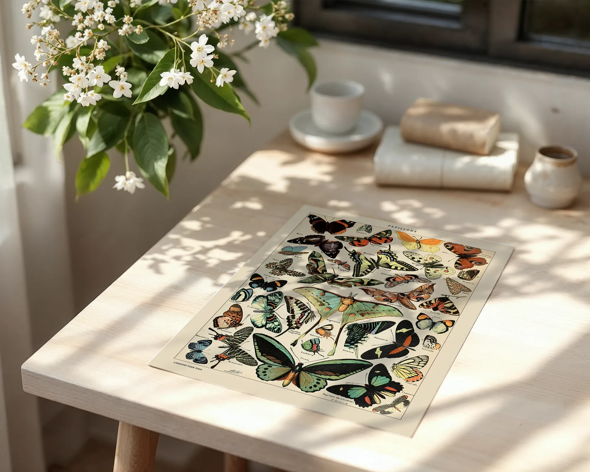 Papillons — room view 6