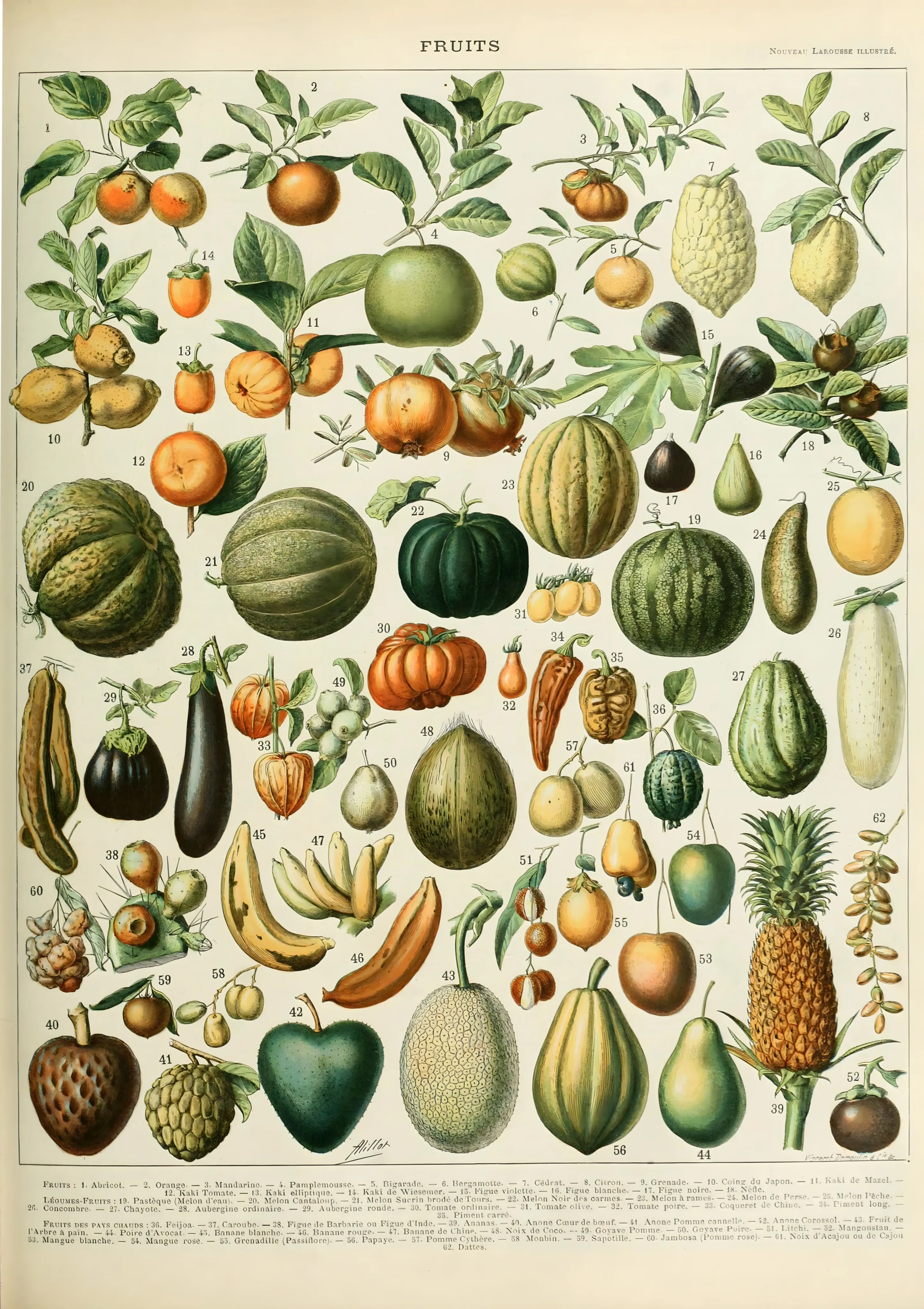 Fruits image 1