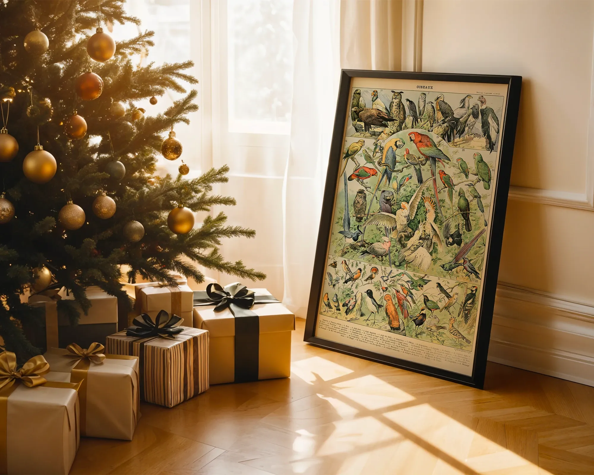 Oiseaux — room view 2