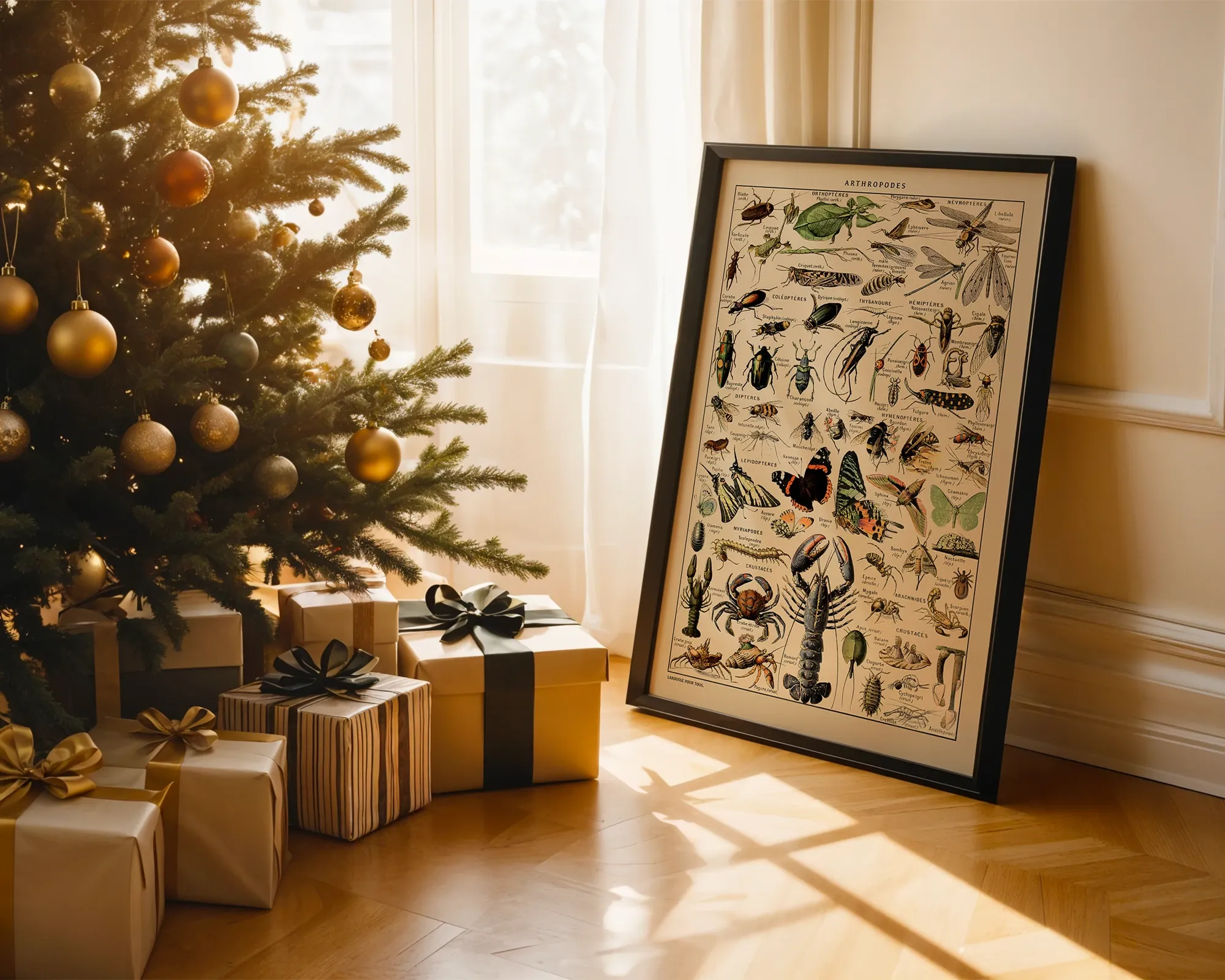 Arthropodes — room view 2