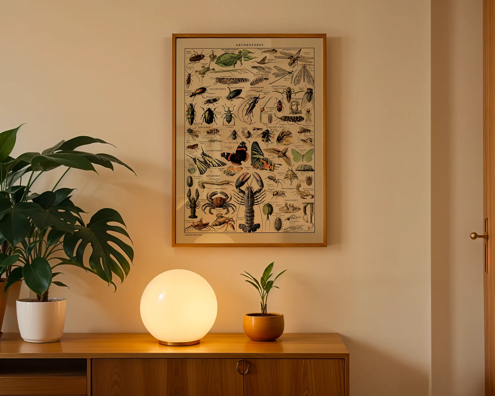 Arthropodes — room view 3