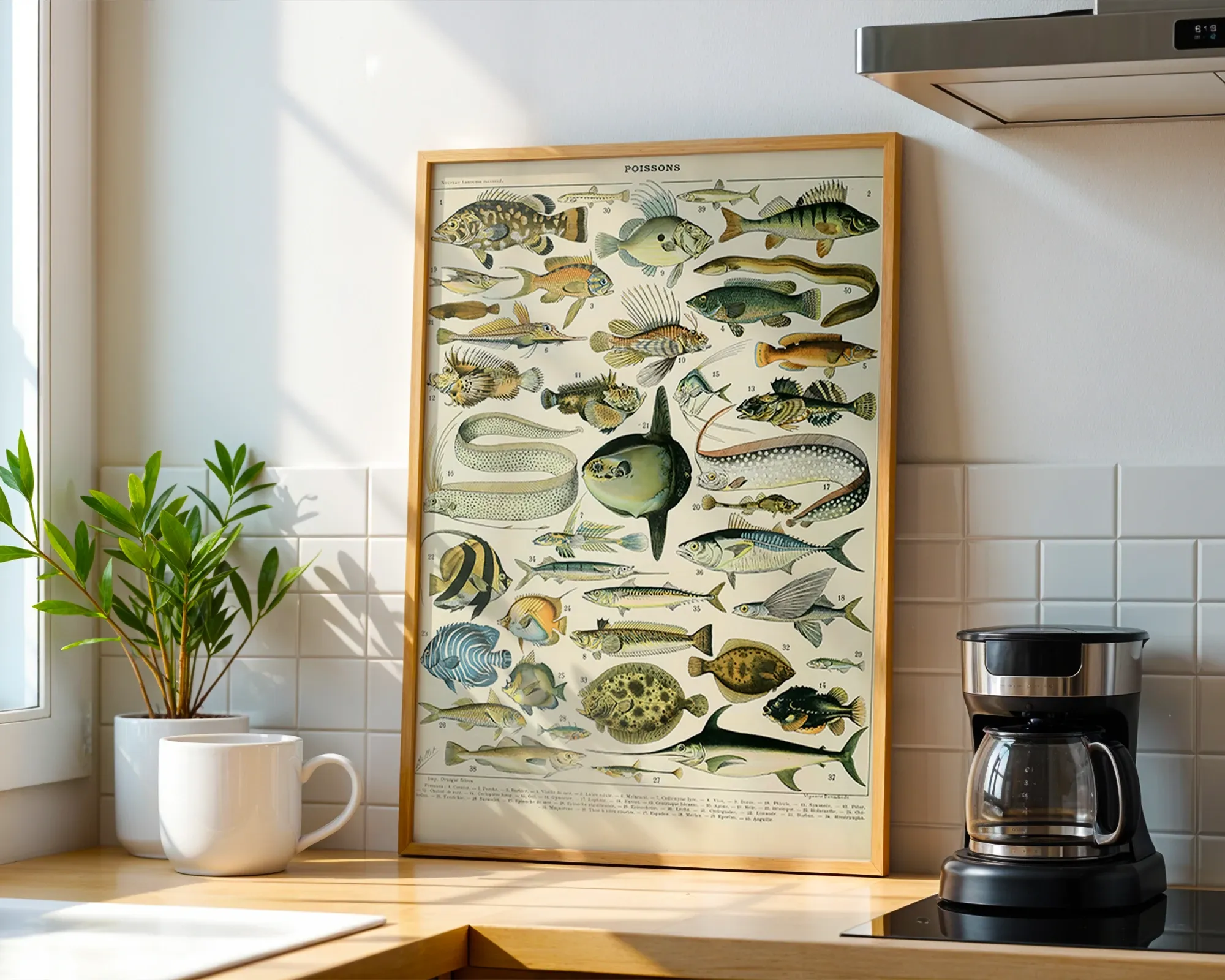 Poissons — room view 1
