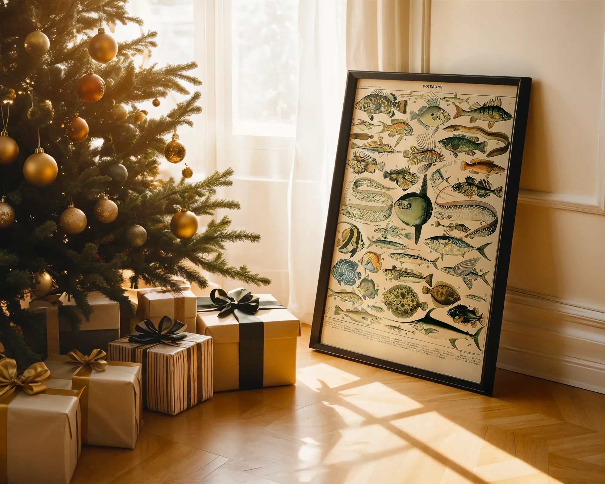 Poissons — room view 2