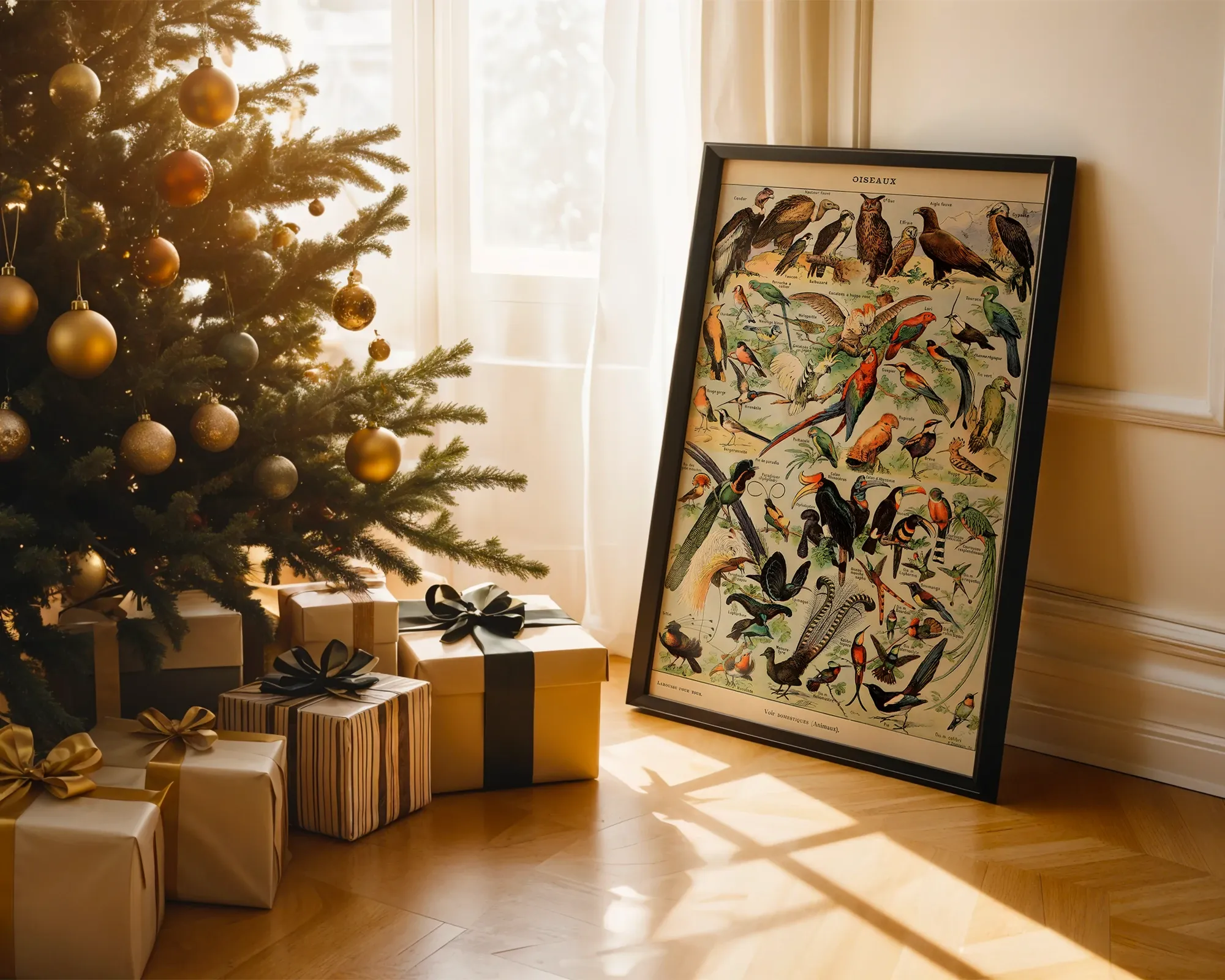 Oiseaux by Adolphe Millot — room view 2