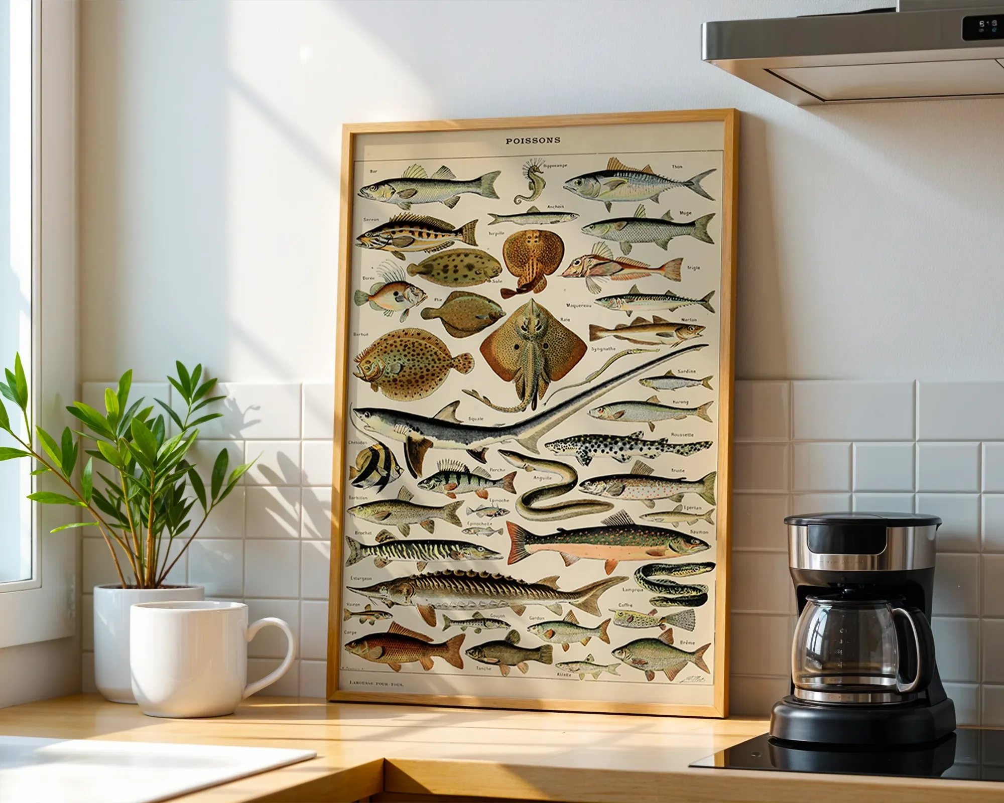 Poissons — room view 1