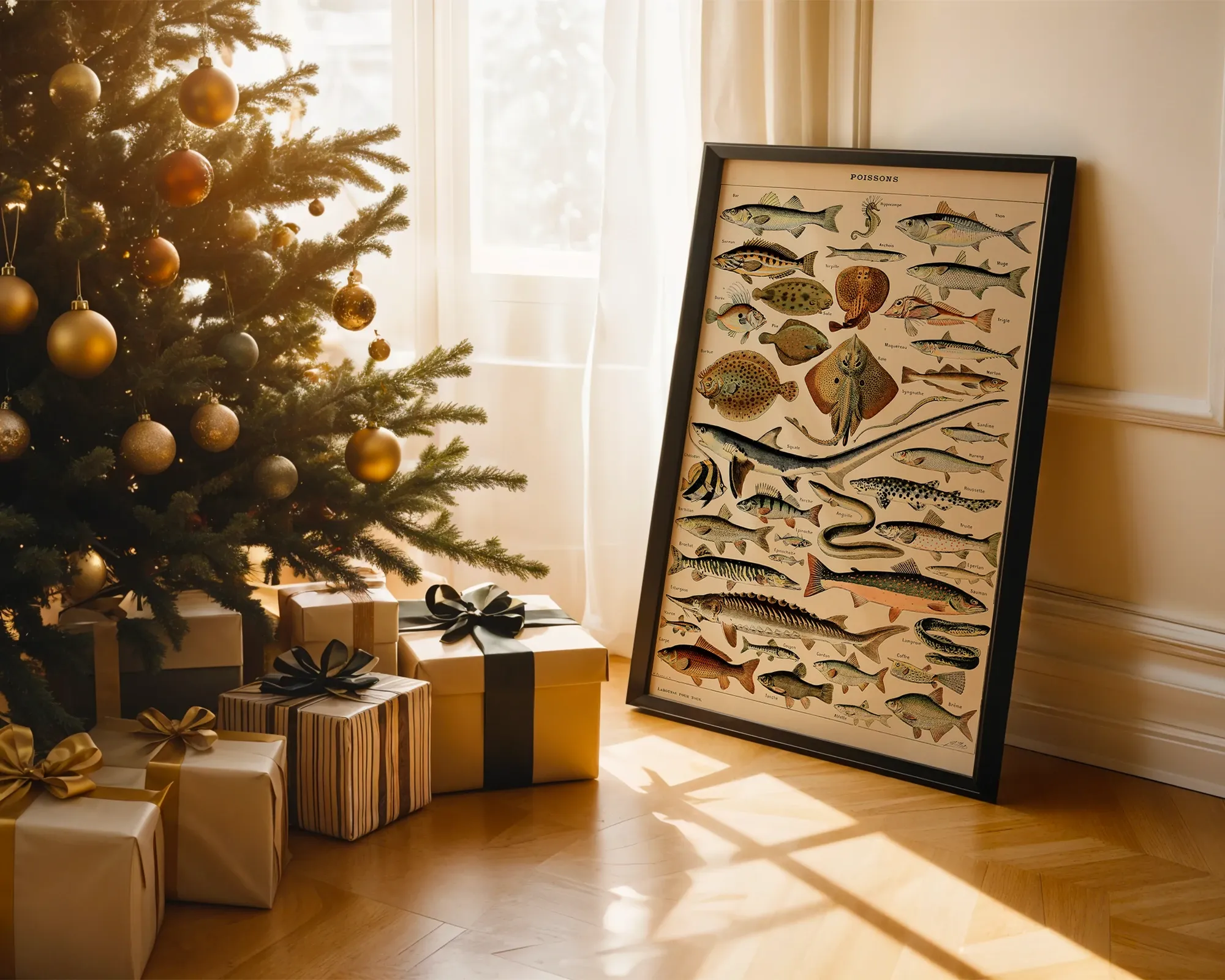 Poissons — room view 2