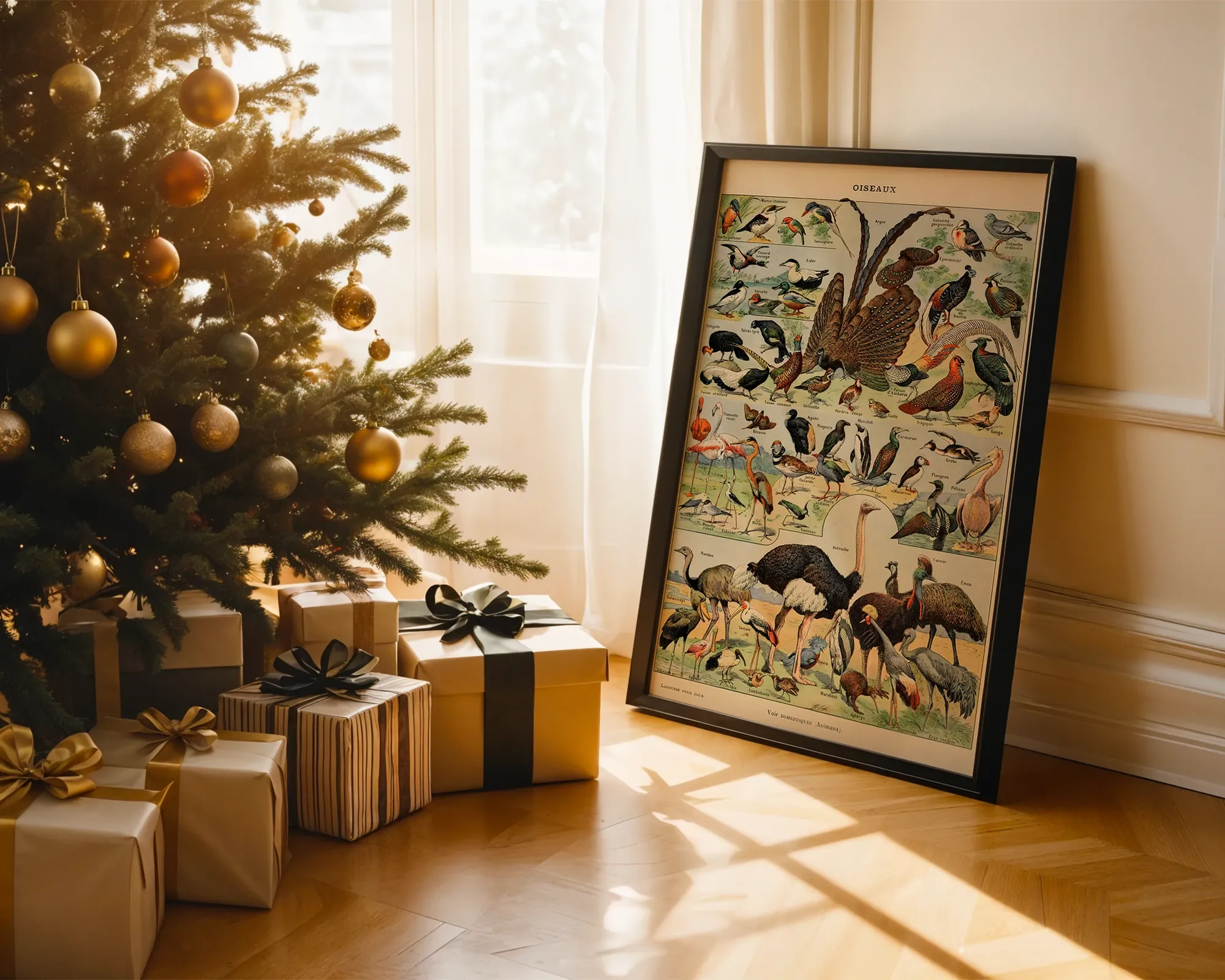 Oiseaux — room view 2