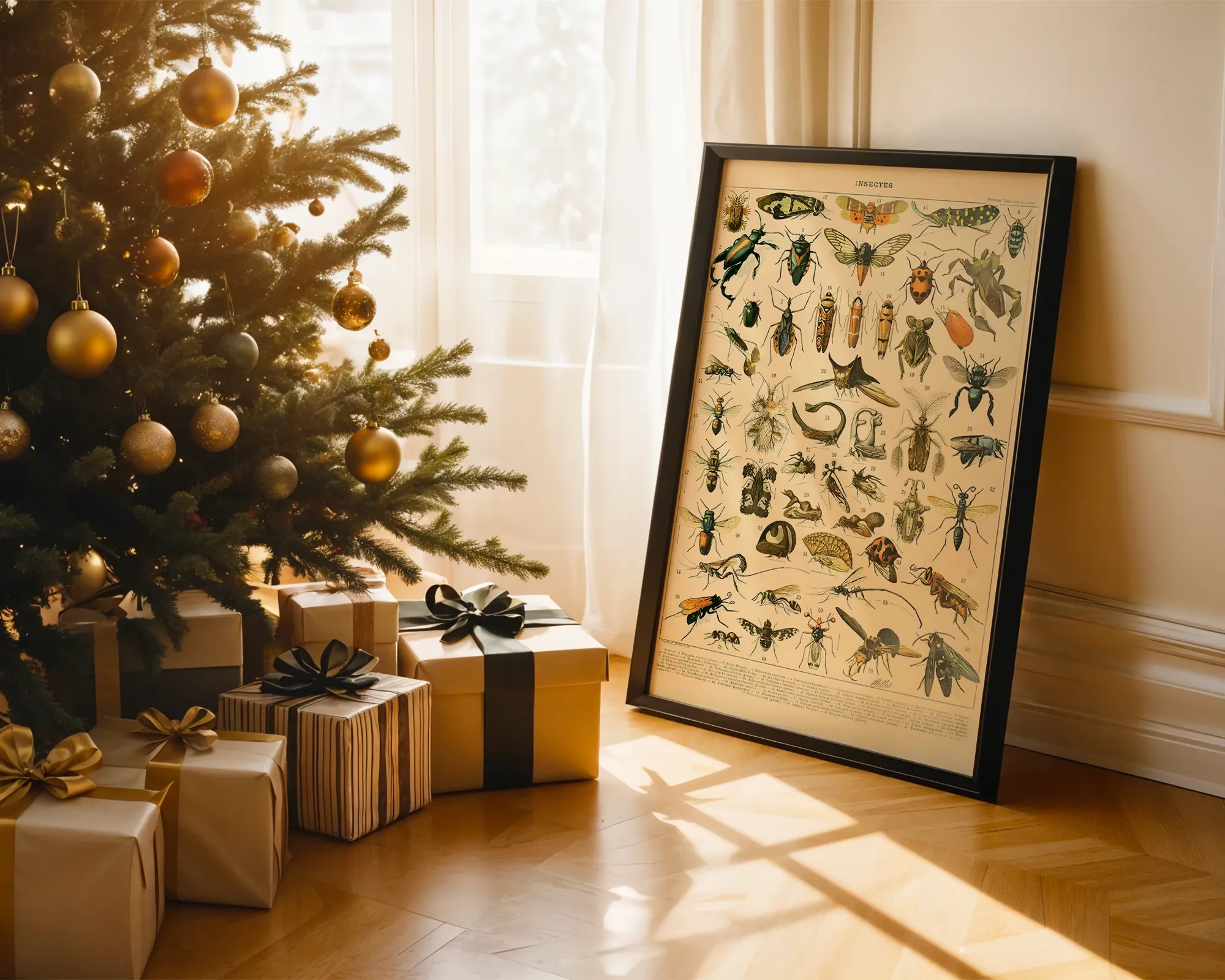 Insectes — room view 2