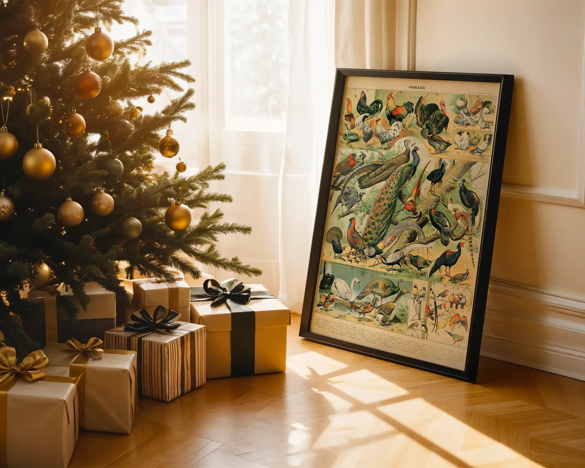 Oiseaux — room view 2