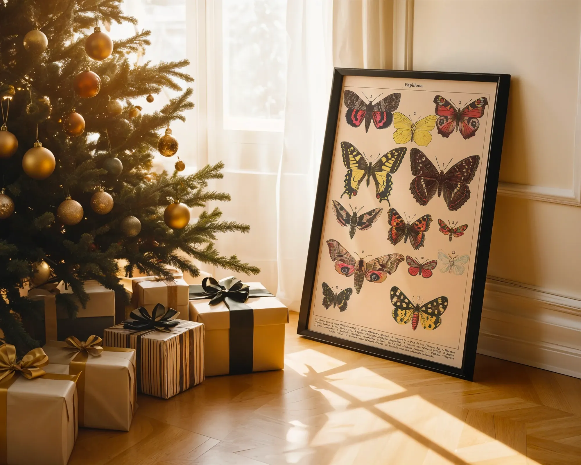 Papillons — room view 2