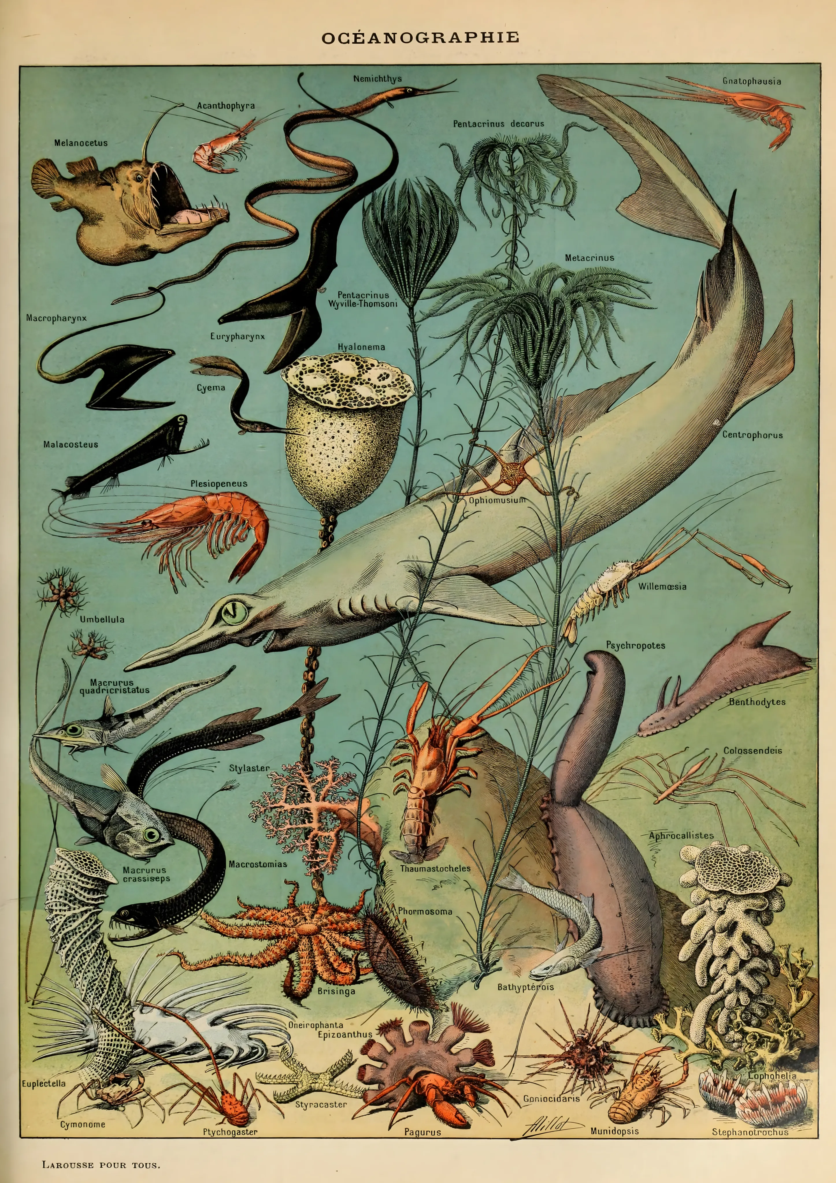 Océanographie image 1
