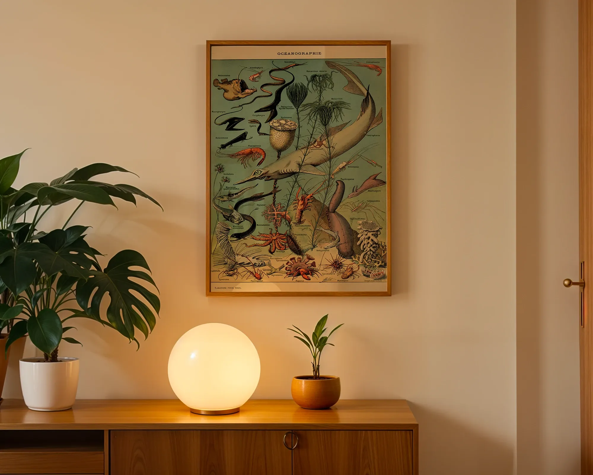 Océanographie — room view 3