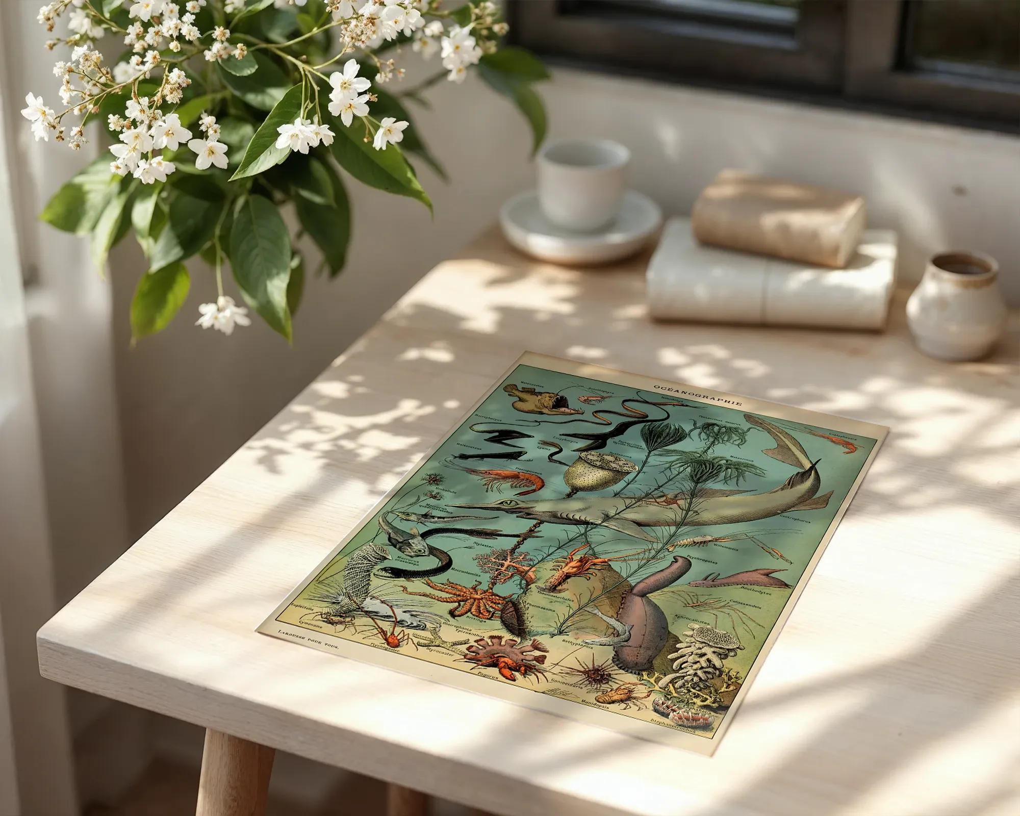 Océanographie — room view 6