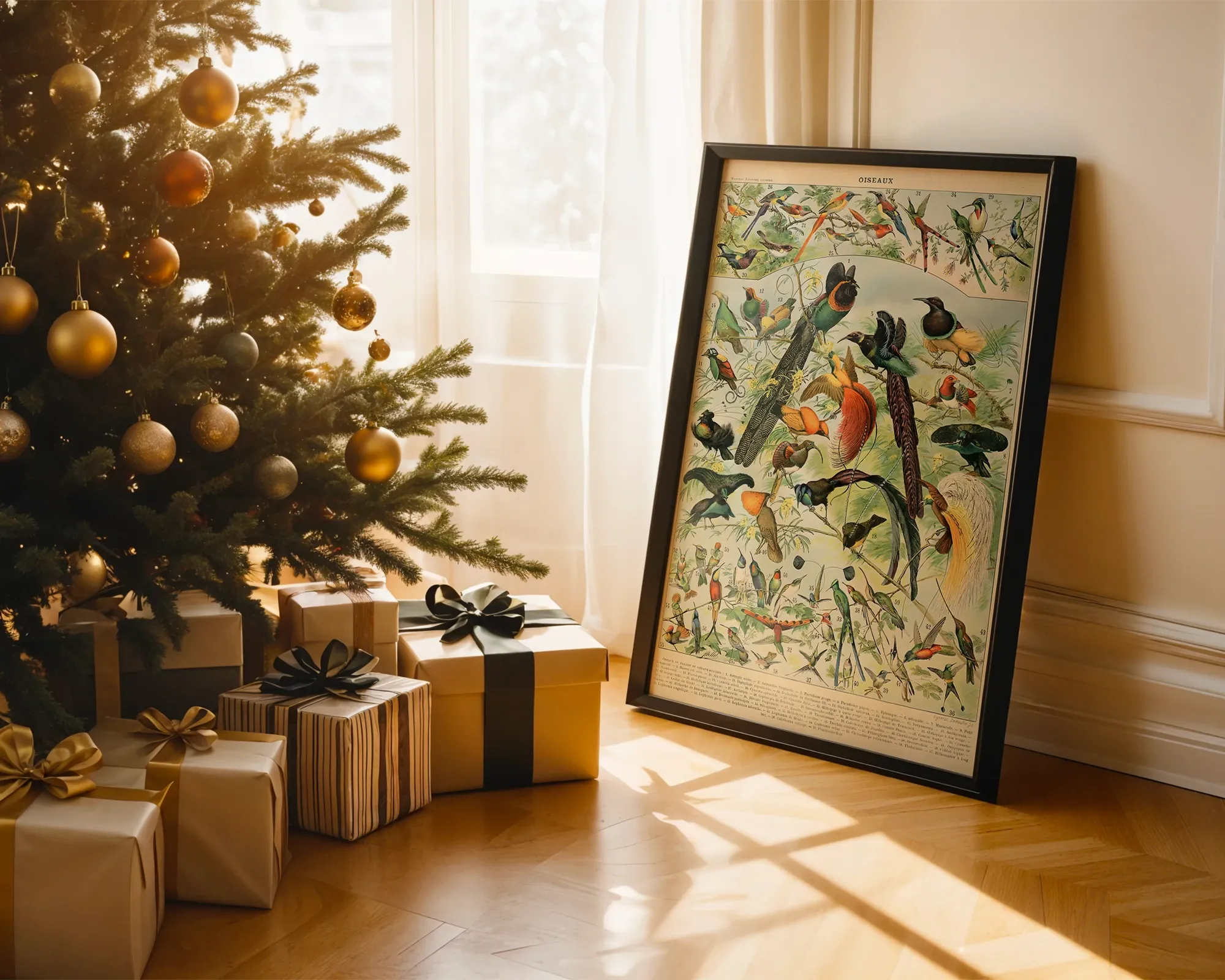 Oiseaux par Adolphe Millot — room view 2