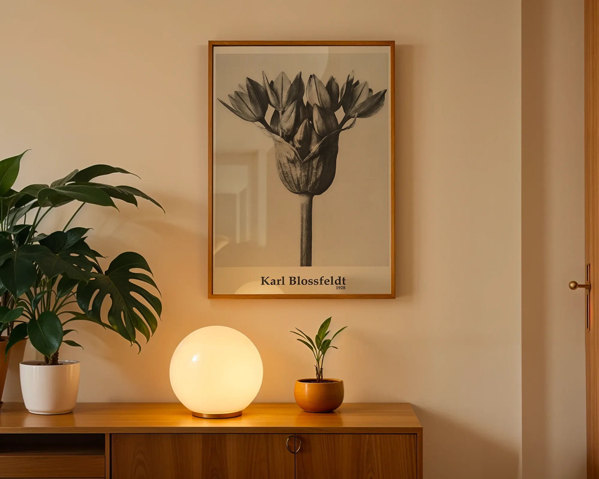 Allium Star Flower Study — room view 3