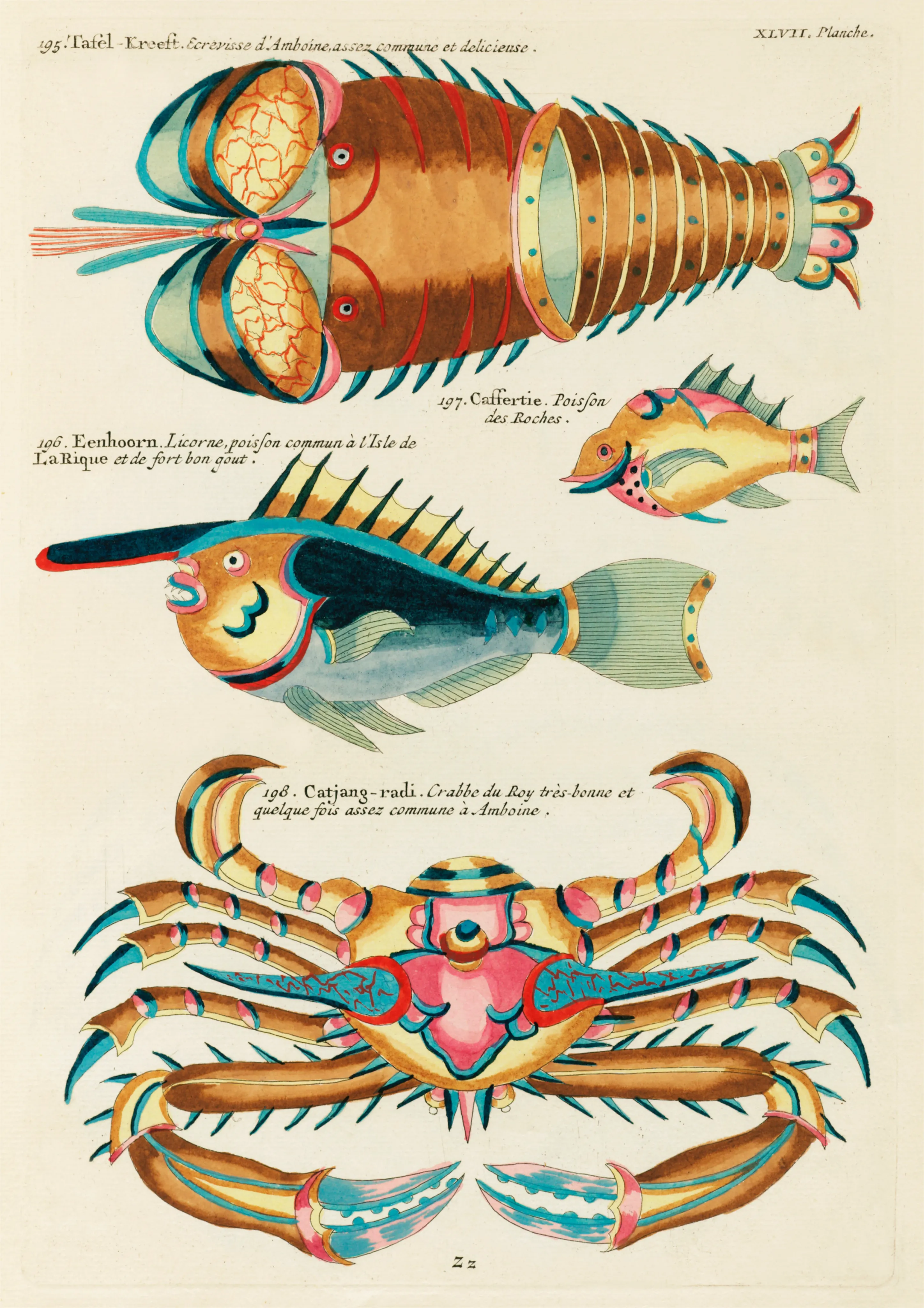 Fishes, Crayfish and Crab, Plate XLVII image 1