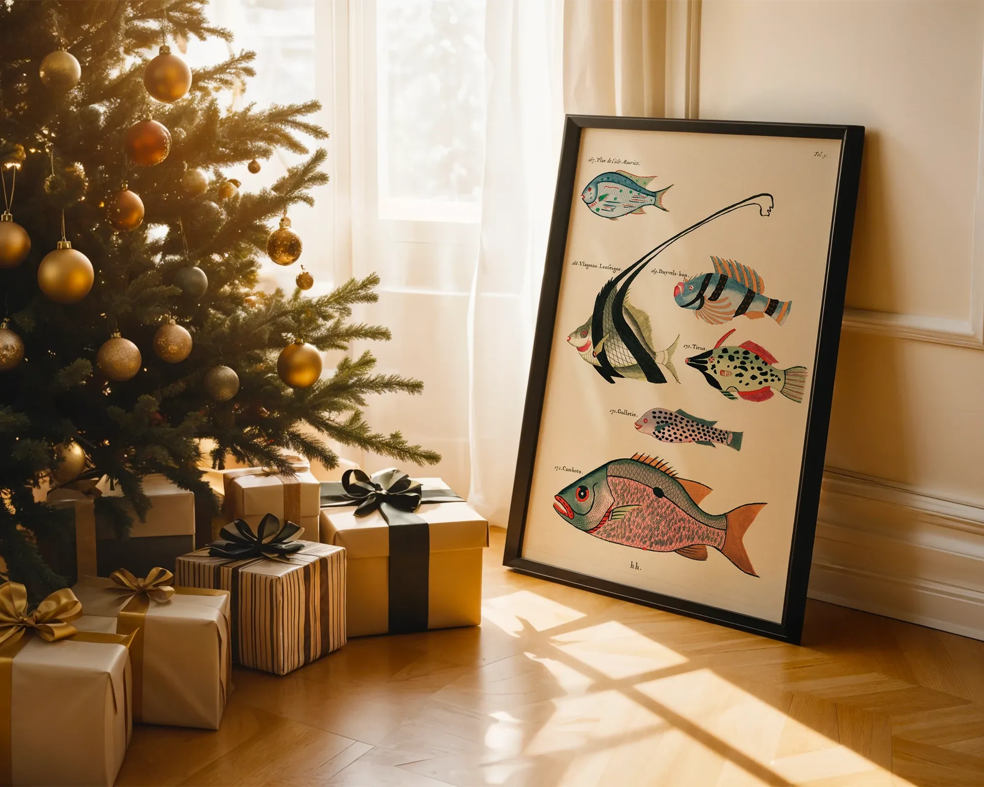 East Indian Fish Studies — room view 2