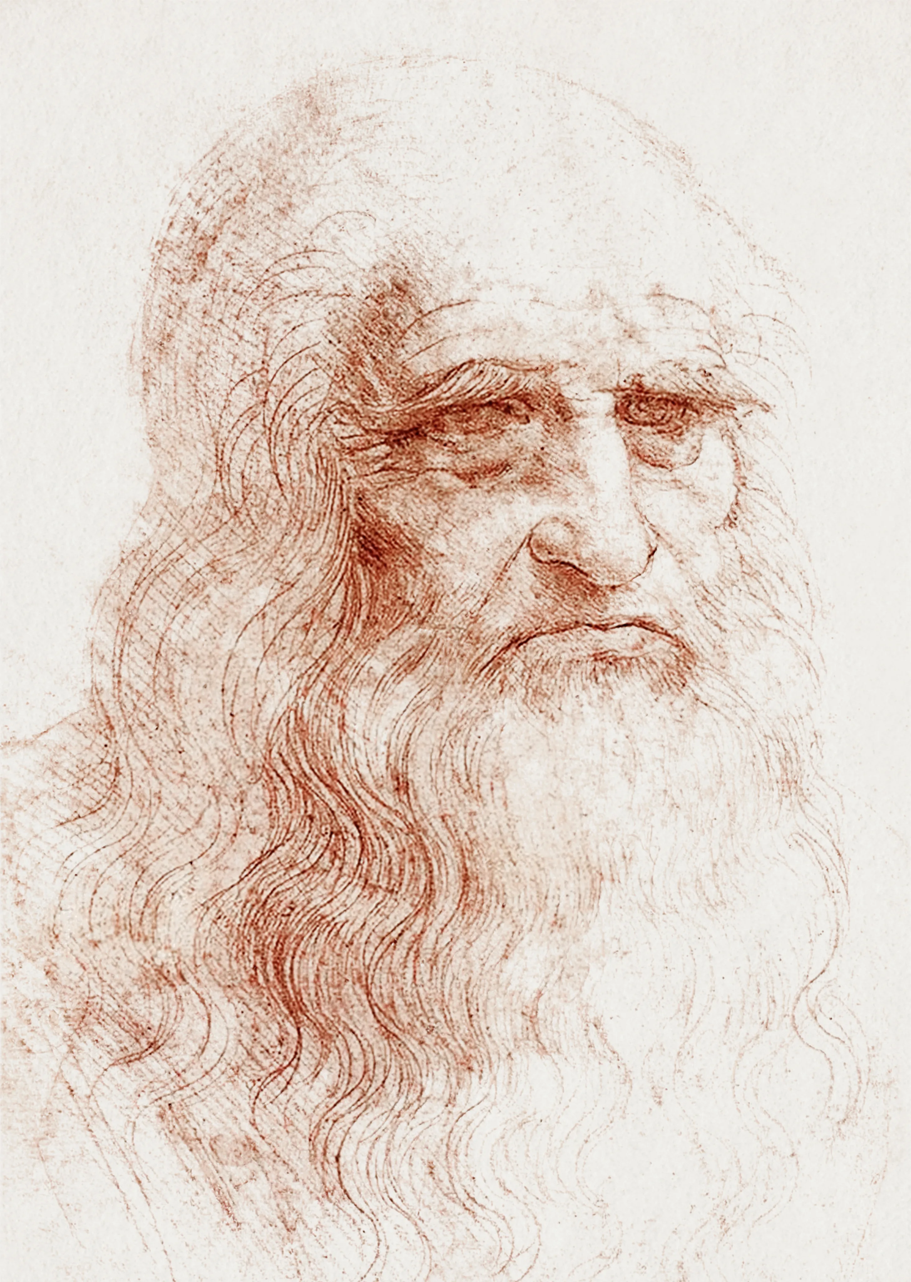 Portrait of a Man in Red Chalk image 1
