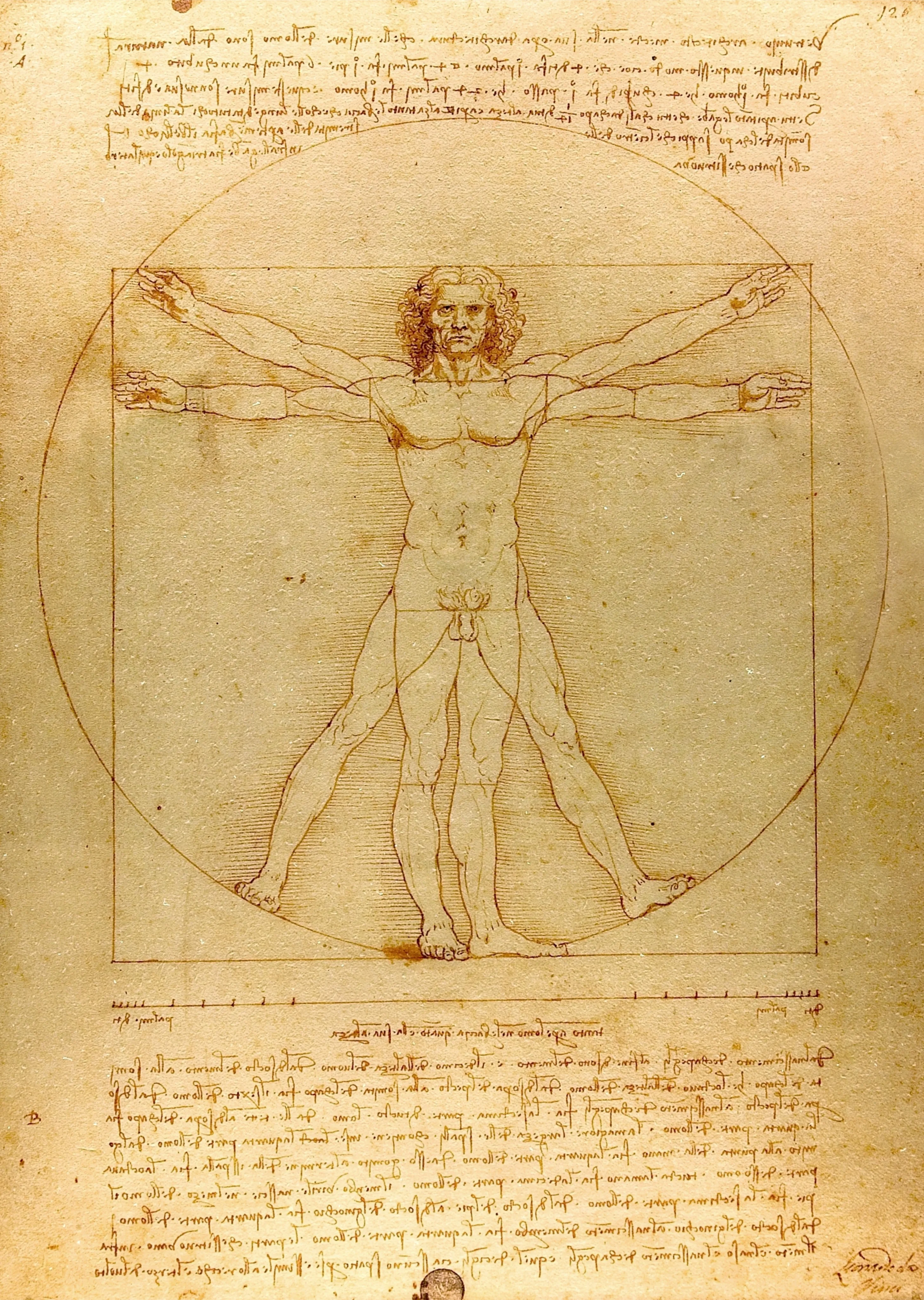Leonardo Da Vinci