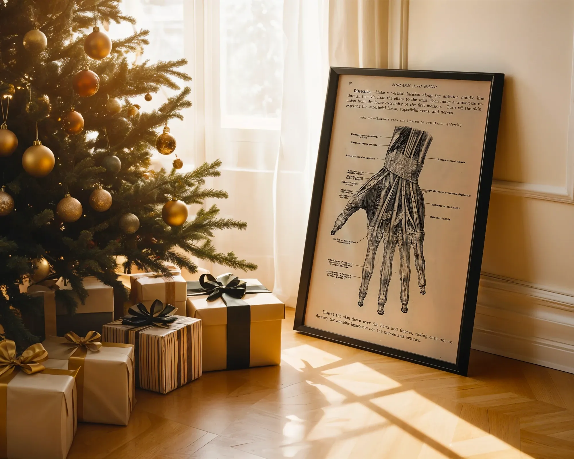 Tendons Upon the Dorsum of the Hand — room view 2